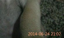 从来没有这样悲伤