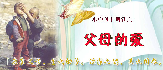 爱的回报