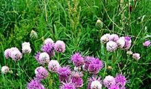 美在路上作文800字