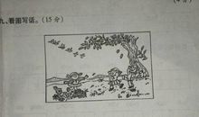 大树生病了看图写话
