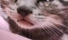 第一次被妈妈委屈