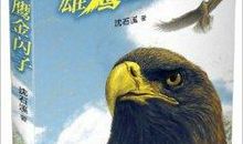 读《雄鹰金闪子》有感