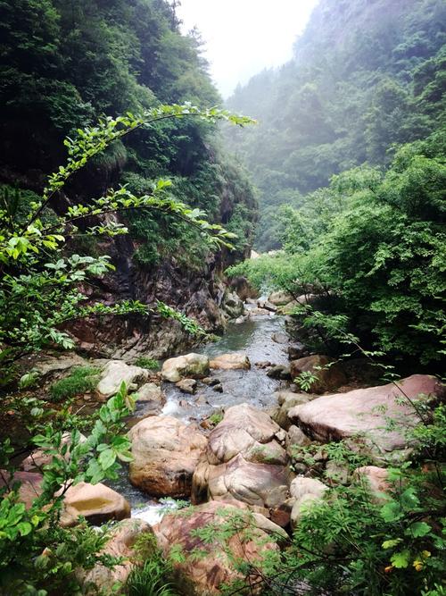山上的美景让我陶醉