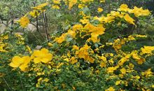 留在心中的深处