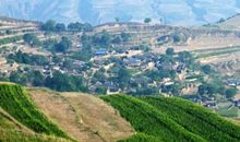 我爱家乡的九龙山