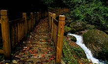 原始世界一日游