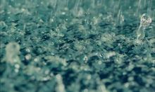 风吹雨滴，书如海