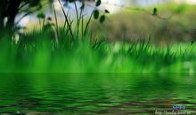 倾听春天的声音