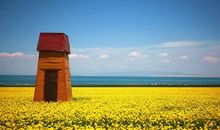 给生命一个理由