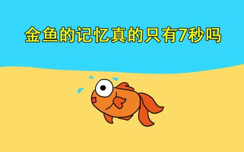 内存中有什么
