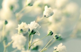 让人想起香水