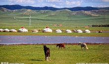 最美不过草原情