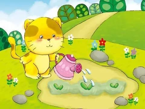 小猫节