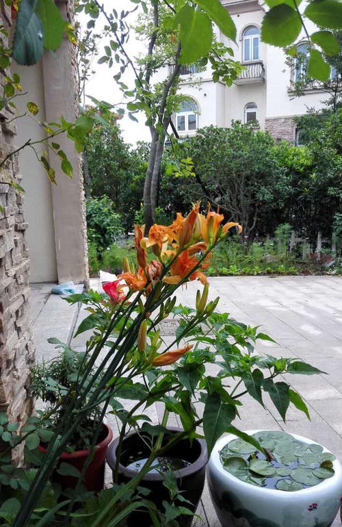 那束鲜花和阳光