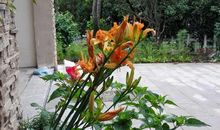 那束花香那束阳光