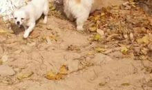 那一次，我读懂了关爱