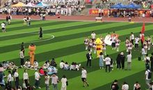 为冠军喝彩，为坚持者点赞