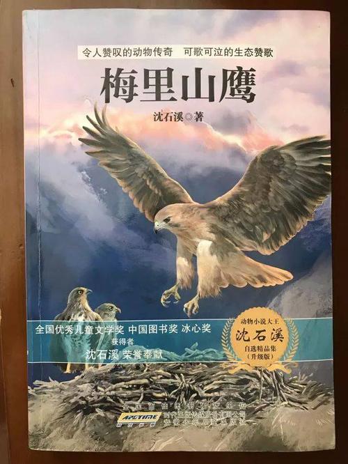 不同的书景