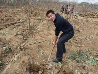 我们一起去种树吧