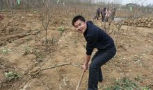 走，我们一起去植树