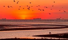 “心颤”的那一刻