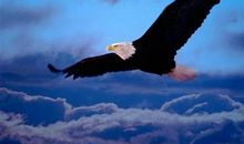 执着真的好吗？