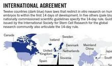 如果基因可以修改