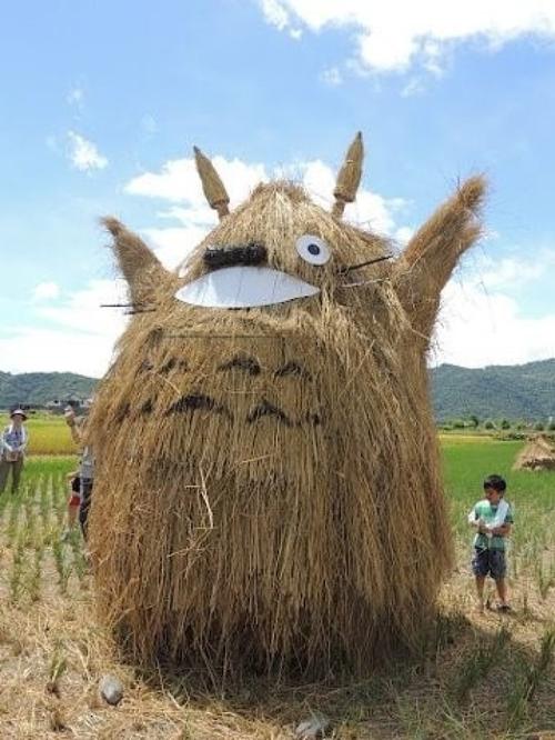 我是春天的稻草人