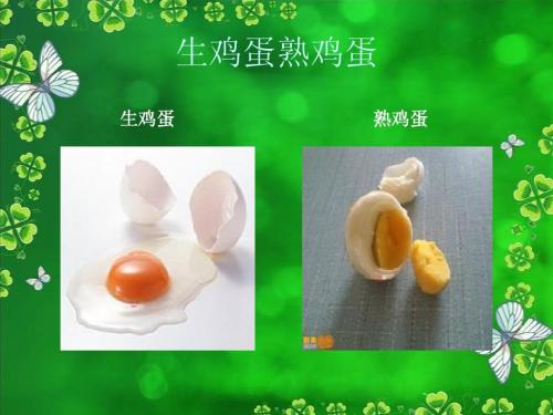 识别生鸡蛋和煮熟的鸡蛋