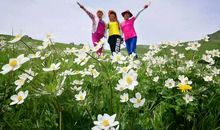 感谢让我拥有春天