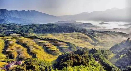 最美丽的弧线