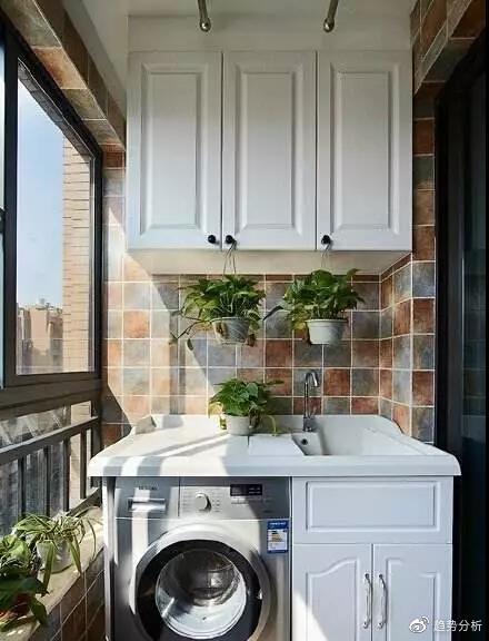 老黄牛的真爱告白