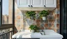 老黄牛的真情告白