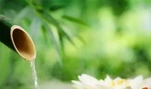 合适自己的才是最美的