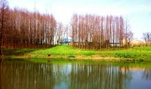 风雨之后，仍是春天