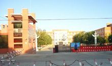 国庆见闻——骑行之乐