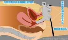 我发现了前同桌的秘密