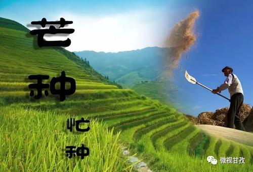 有努力的收获