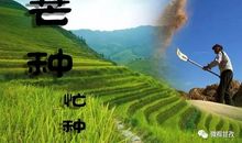 有辛苦才会有收获