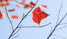 那一刻我懂了爱的力量