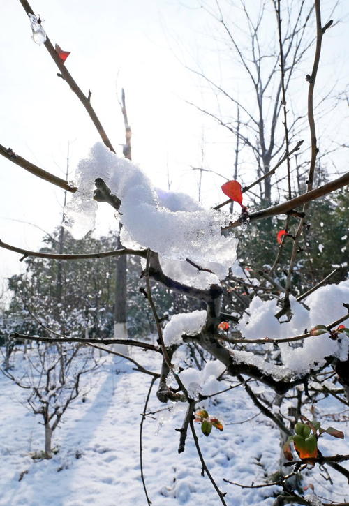 盐城雪