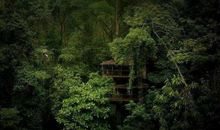 远离喧嚣，轻轻歌唱