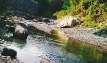 小溪，你还好吗？