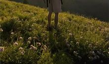 温暖在我的身边