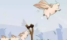 天空飞过一只猪