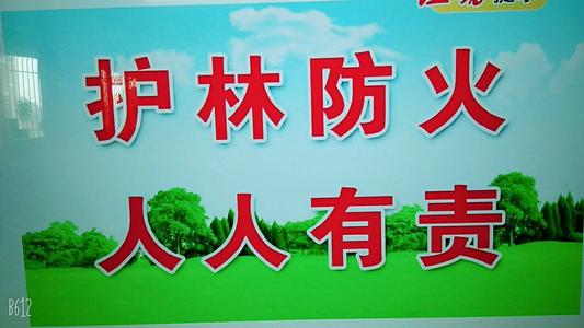 每个人都有责任保护森林