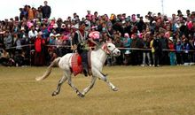 草原赛马
