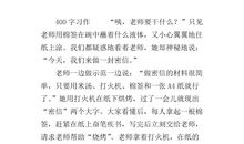 关于做一个实验的作文