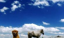 爱的种子撒播我心中