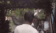 那抹背影进入我的视线